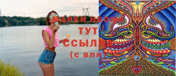 шишки Вяземский