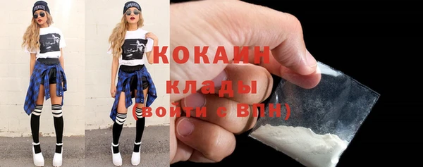 шишки Вяземский