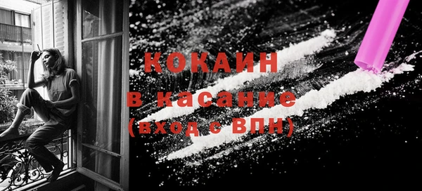 шишки Вяземский