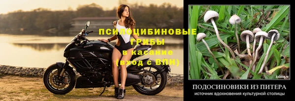 первитин Вязьма