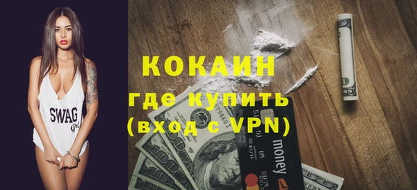 шишки Вяземский